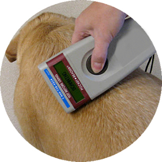 microchip scanner for dogs microchip scanner for dogs